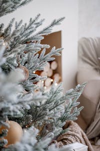 Close-up of an elegantly decorated Christmas tree with frosty needles in a cozy living room setting.