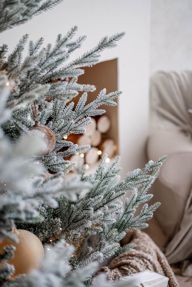 Close-up of an elegantly decorated Christmas tree with frosty needles in a cozy living room setting.